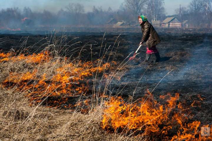 Уряд хоче дозволити пожежникам штрафувати паліїв трави