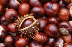 Їла каштани, приготовлені матір'ю: у Луцьку померла восьмирічна дівчинка