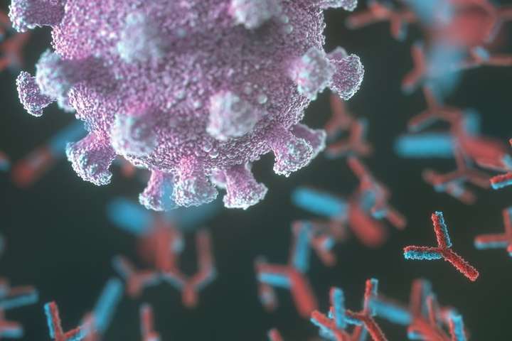 У крові людей, що хворіли на коронавірус, знайшли антитіла, які врятують від майбутніх епідемій