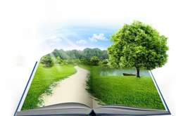 6 листопада – Всесвітній день без паперу