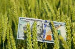 В Україні з'явиться Фонд гарантування кредитів для фермерів