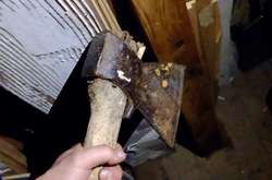  Пенсіонер у селищі Оріхове Ленінградської області відрубав голову сусідці по дачі 