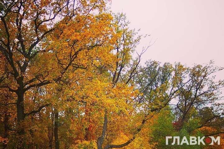 Буде холодно й сонячно: прогноз погоди в Україні на 7 листопада