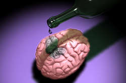 Вчені пояснили руйнівний вплив алкоголю на мозок