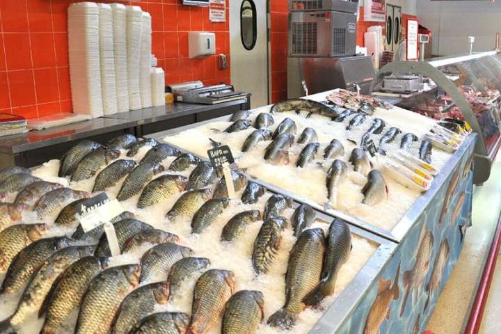 Комаровський назвав найнебезпечнішу рибу: «ніколи таку не купуйте»