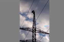 Дівчина залізла на електроопору у Харкові