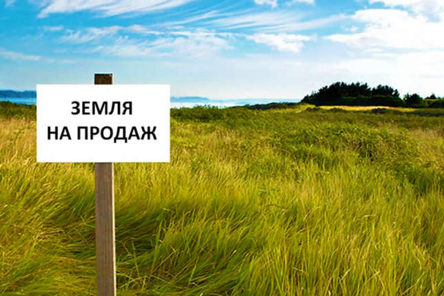 В Україні пройшли перші земельні аукціони через «Прозорро»