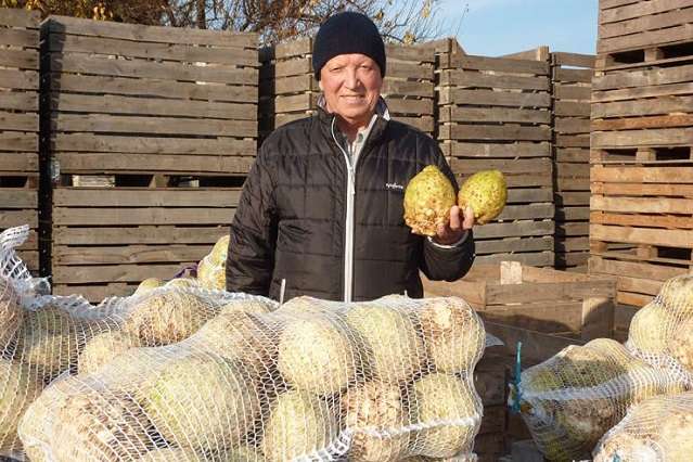 Український фермер назвав культуру, яка прибутковіша за картоплю