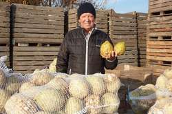 Український фермер назвав культуру, яка прибутковіша за картоплю