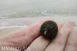 На пляжах Кирилівки після нашестя медуз помітили дивні кульки (фото)