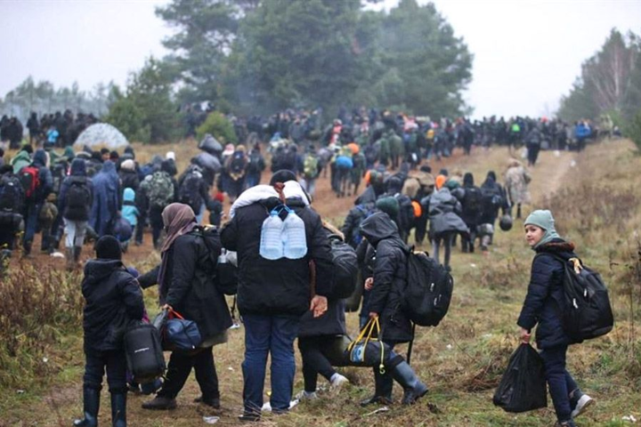 Эксперт крупнейшей фракции Бундестага предложил направить беженцев из Беларуси в Украину