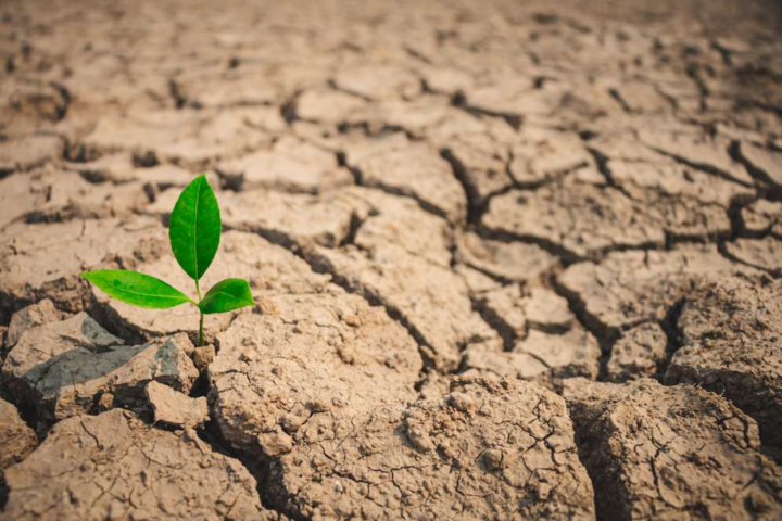В Южной Калифорнии 19 миллионов человек страдают от засухи