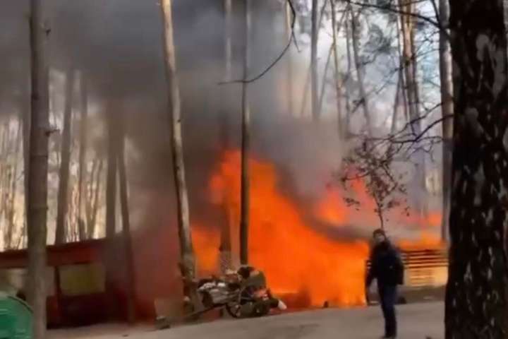 У столичному парку «Совки» спалахнула серйозна пожежа (відео)