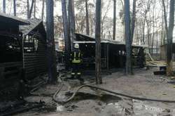 Рятувальники приборкали масштабну пожежу у столичному парку (фото)