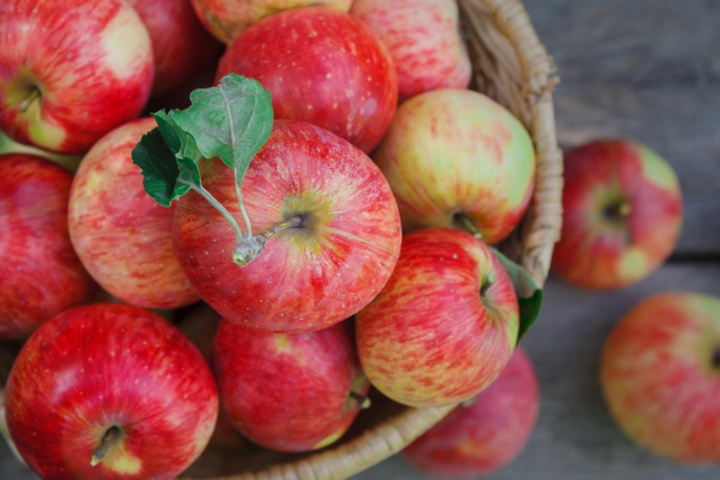 Садоводы жалуются на власть: готовы оставить урожай яблок на деревьях 