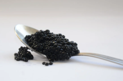 Украина будет экспортировать черную икру в Саудовскую Аравию