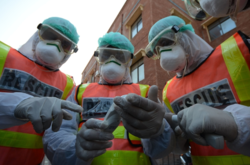  Исследователи из США сообщили, что разработанная ими шпилька РНК Slr14 успешно активирует производство в организме интерферонов 