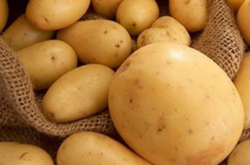Картофель подорожает: стоит сделать запасы 