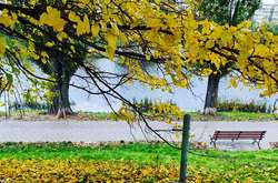 У суботу буде сонячно і прохолодно