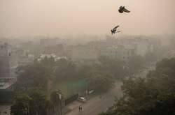 У столиці Індії відсьогодні закривають школи через брудне повітря