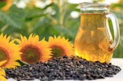 Почему цена подсолнечного масла превысит 100 грн за литр: названы причины