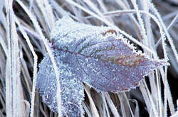 В Україну йдуть морози до -7 градусів: прогноз погоди на 16 листопада