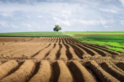  В Украине изменят правила покупки земли 