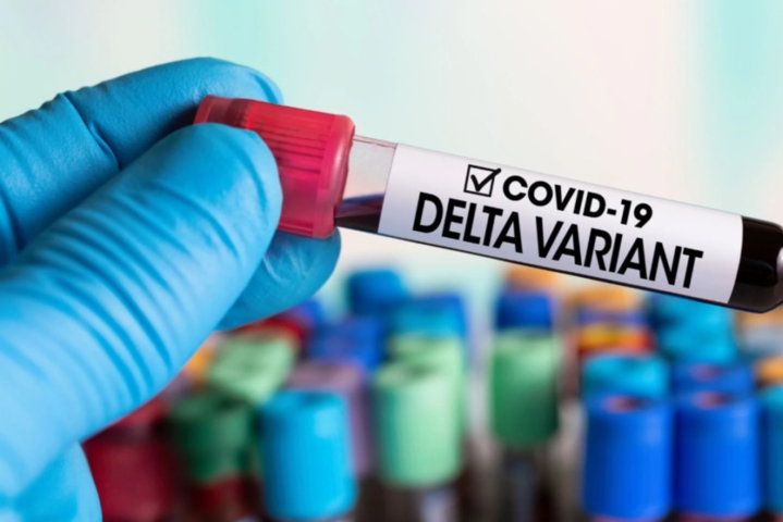 В Чехии обнаружили новый штамм коронавируса Delta 
