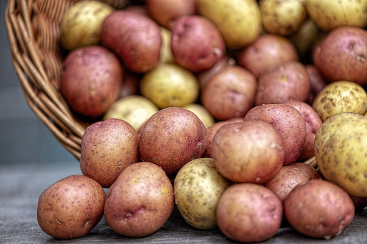 Украинские ученые назвали самые продуктивные сорта картофеля