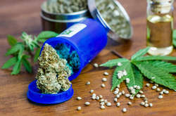 МОЗ виніс на громадське обговорення законопроєкт про медичний канабіс