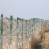 <p class="p1">Украина укрепляет границу с Беларусью из-за возможных мигрантов</p>