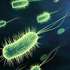 Унікальні властивості бактерії допоможуть у боротьбі з хворобою