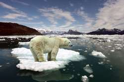 До чого призведе потепління в Арктиці: науковці оприлюднили дослідження 