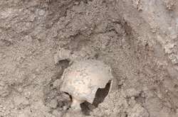 Біля Тернополя знайшли поховання, якому може бути п'ять тисяч років (фото)