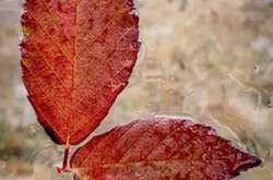 Дощитиме, але місцями суттєво потепліє: якою буде погода 27 листопада