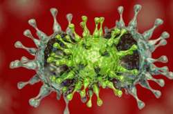 Вчені виявили, що штам коронавірусу «Омікрон» вшестеро заразніший, ніж «Дельта» 