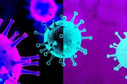  Новий штам коронавірусу Omicron може бути більш стійким до вакцин та швидше поширитися 