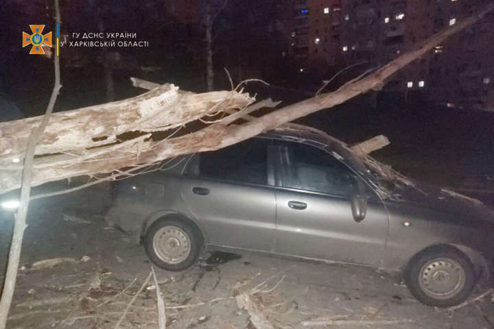 Ураган у Харкові: негода звалила дерева й світлофор, понівечила автомобілі (відео)