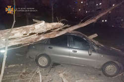 Ураган у Харкові: негода звалила дерева й світлофор, понівечила автомобілі (відео)