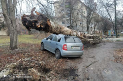 Полиция дала советы по парковке авто во время урагана 