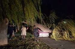 Оккупированный Крым накрыл ураган, который обесточил полуостров и разбил машины (фото, видео) 