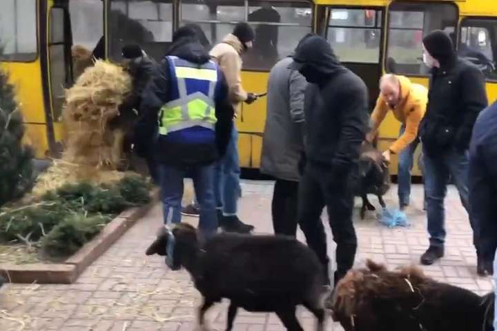 Під мерію Києва у старій маршрутці привезли баранів (відео)