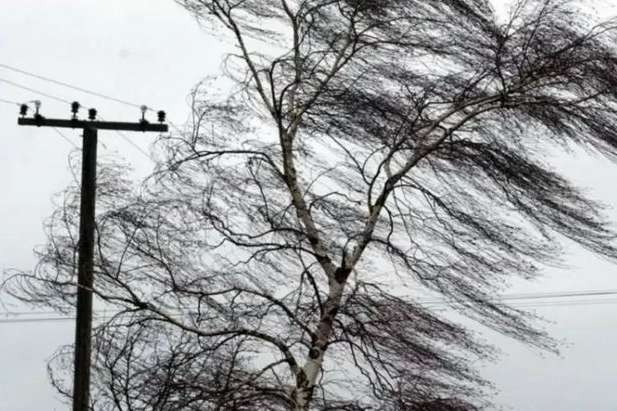 Ураганний вітер на Чернігівщині: 63 населені пункти лишилися без світла