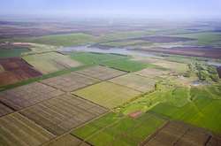 Минимальный налог в 1,5 тыс. грн с каждого гектара никак не повлияет на крупные агрохолдинги, так как они не являются владельцами земли