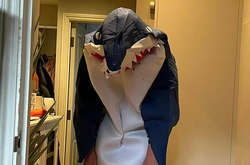 К этим беднягам плохой день пришел нагло и без стука (фото)