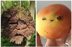 На этих фото все видят разные лица, но на самом деле их там нет