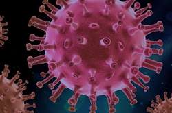 Скільки ще людство страждатиме від коронавірусу?