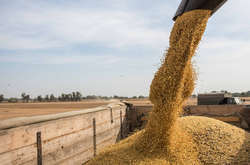 Нема з чого пекти хліб. Експерт пояснив, куди зник рекордний врожай