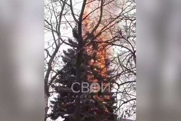 Пенсіонерка спалила одну з найбільших ялинок Кривого Рогу (відео)