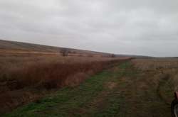 Поліція відкрила кримінальну справу за даним фактом